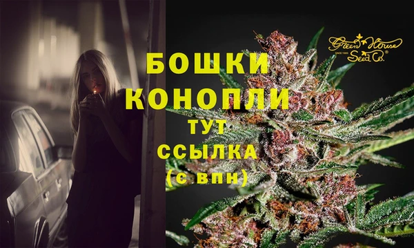 PSILOCYBIN Касимов