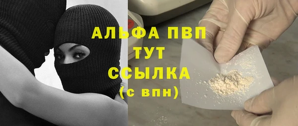 хмурый Зеленокумск