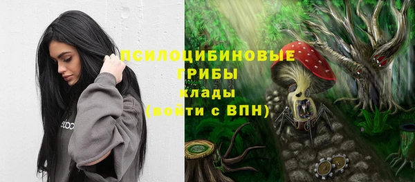 бошки Каменногорск
