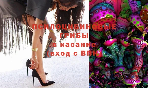 ГАЛЛЮЦИНОГЕННЫЕ ГРИБЫ Каменск-Шахтинский