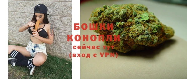 стаф Зеленодольск