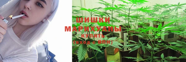 2c-b Каменка