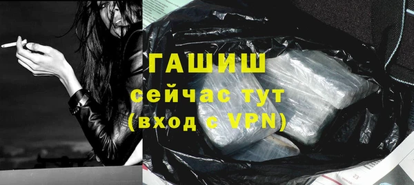 стафф Елизово