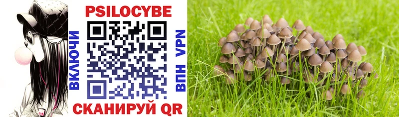 Галлюциногенные грибы Cubensis  Купить закладки  Кудымкар 